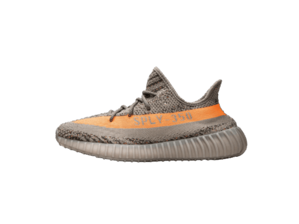 Beluga Reflective
