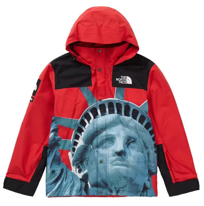 JACKET - THE NORTH FACE