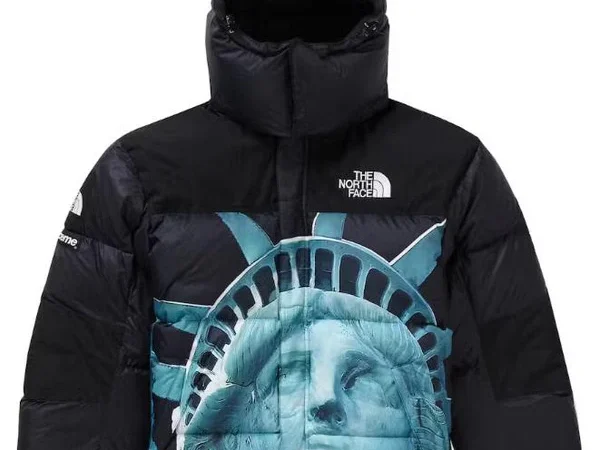 JACKET - THE NORTH FACE