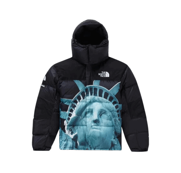 JACKET - THE NORTH FACE