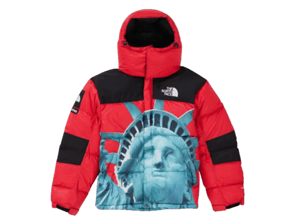 JACKET - THE NORTH FACE