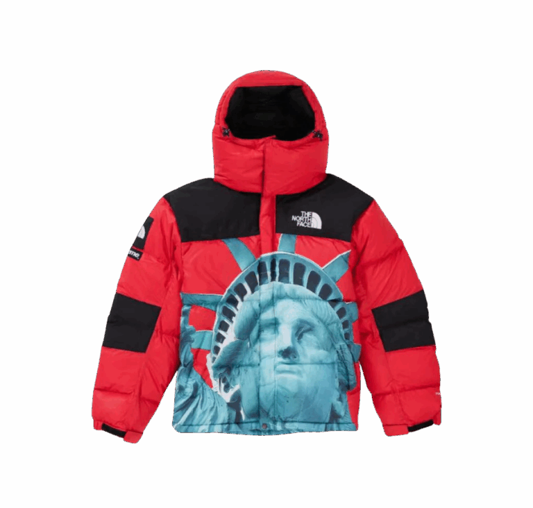 JACKET - THE NORTH FACE