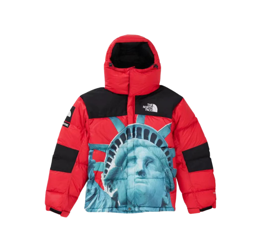 JACKET - THE NORTH FACE