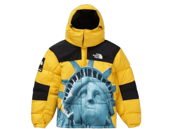 JACKET - THE NORTH FACE