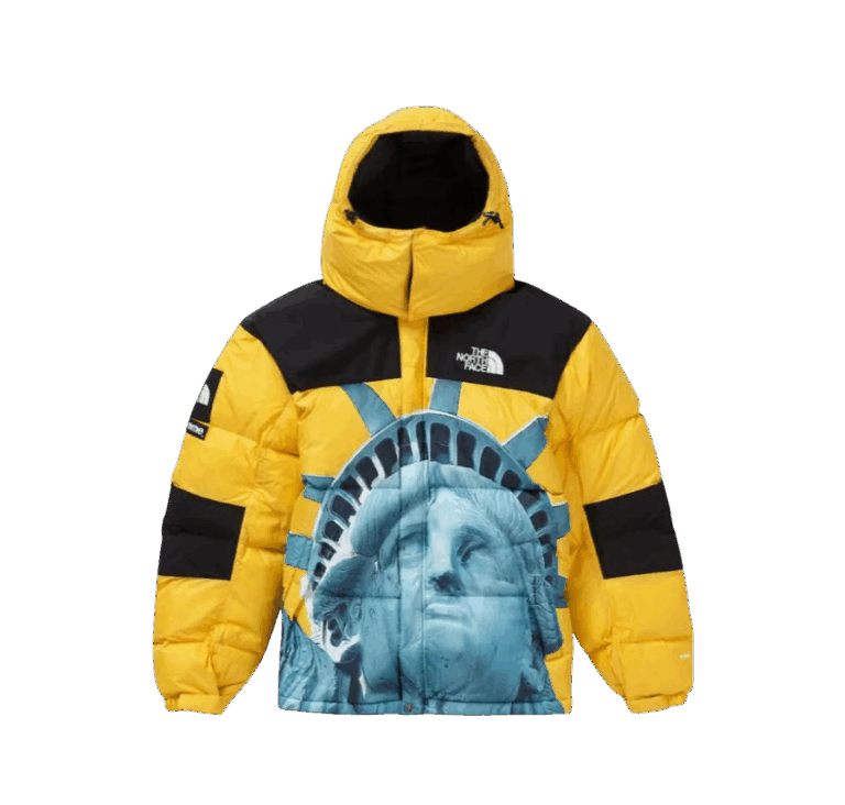 JACKET - THE NORTH FACE