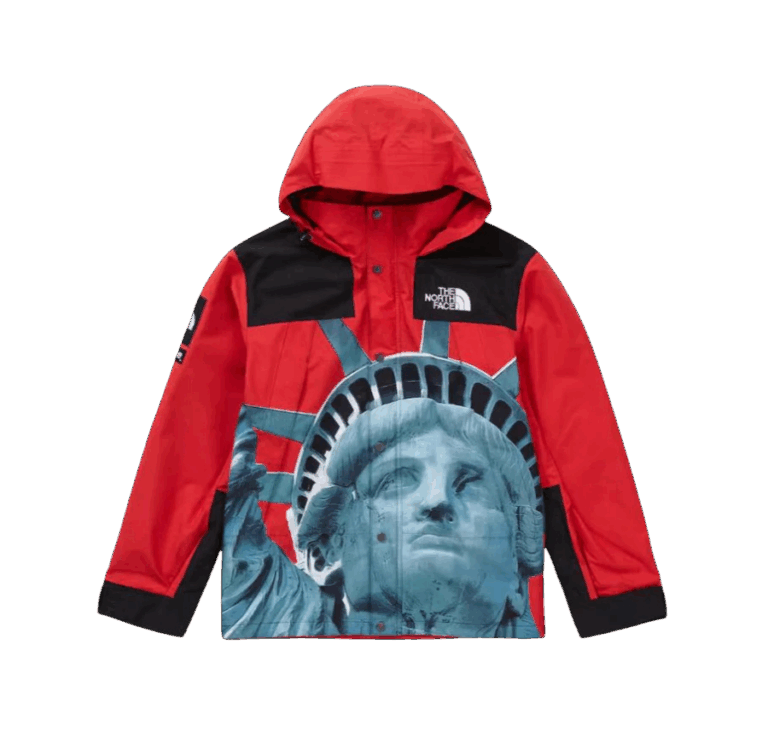 JACKET - THE NORTH FACE