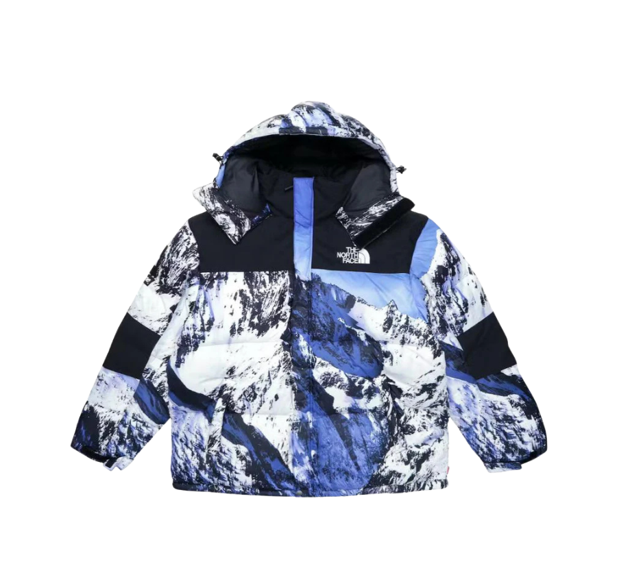 JACKET - THE NORTH FACE