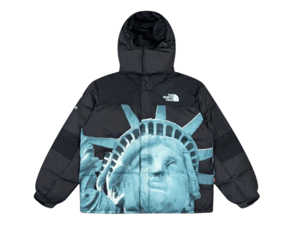 JACKET - THE NORTH FACE