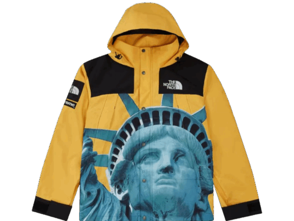 JACKET - THE NORTH FACE