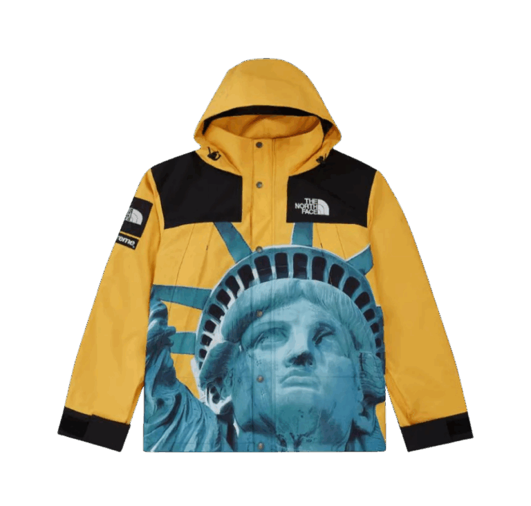 JACKET - THE NORTH FACE