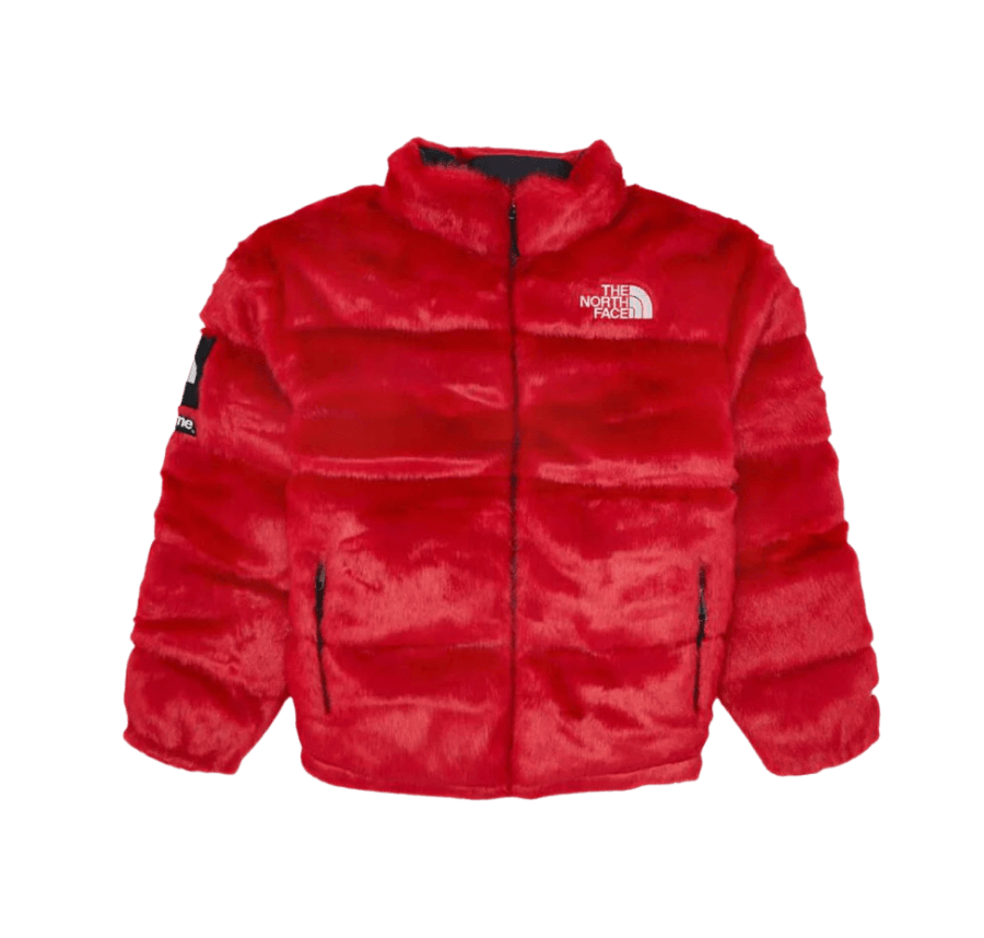 JACKET - THE NORTH FACE