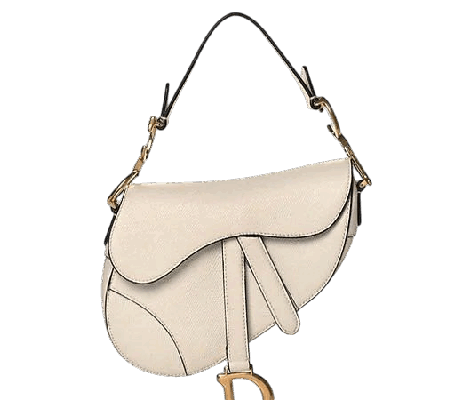DIOR MINI SADDLE BAG
