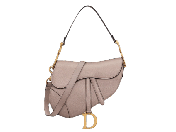 DIOR MINI SADDLE BAG