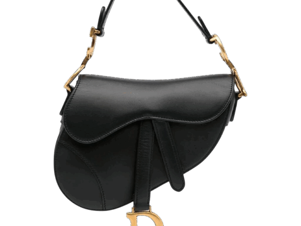 DIOR MINI SADDLE BAG