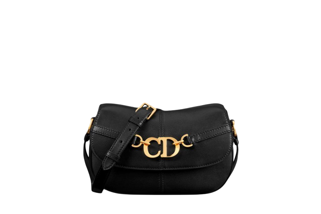 DIOR BESACE BAG