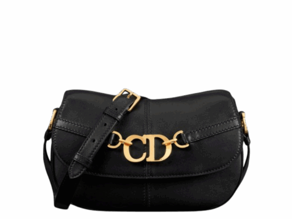 DIOR BESACE BAG