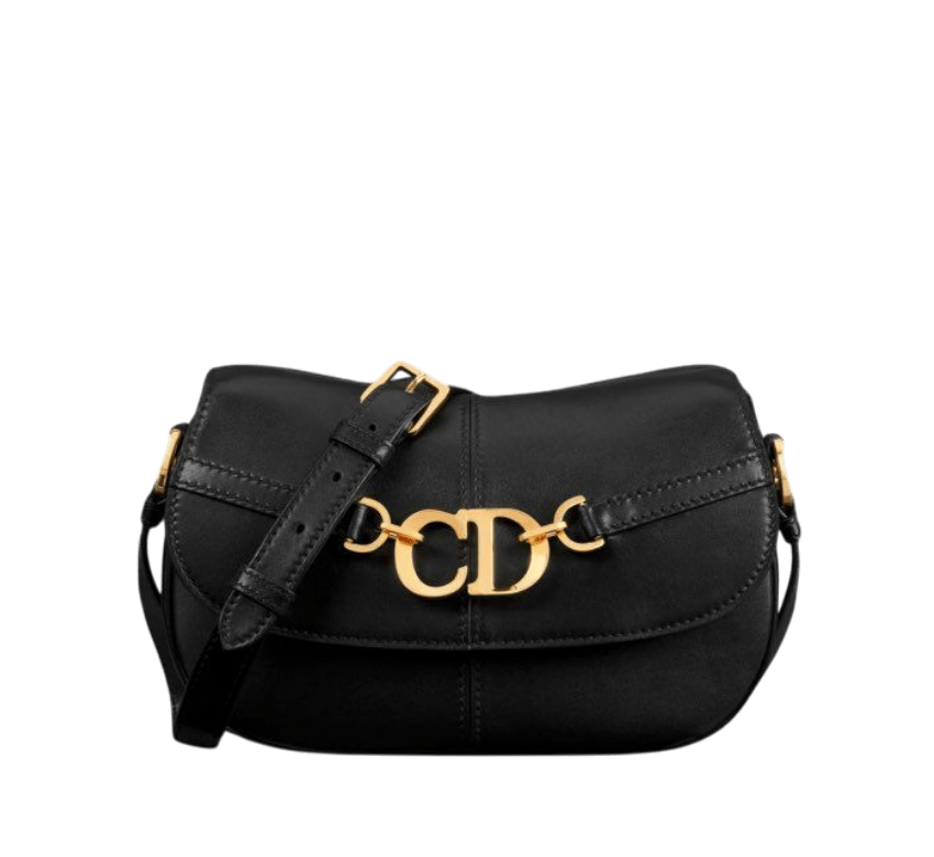 DIOR BESACE BAG