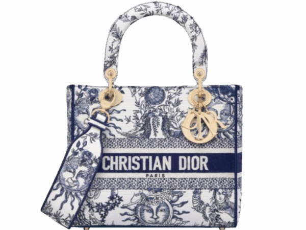 DIOR BOOK TOTE