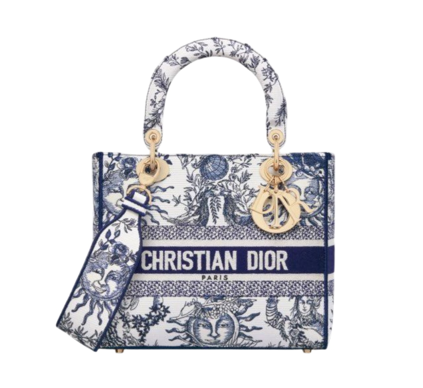 DIOR BOOK TOTE