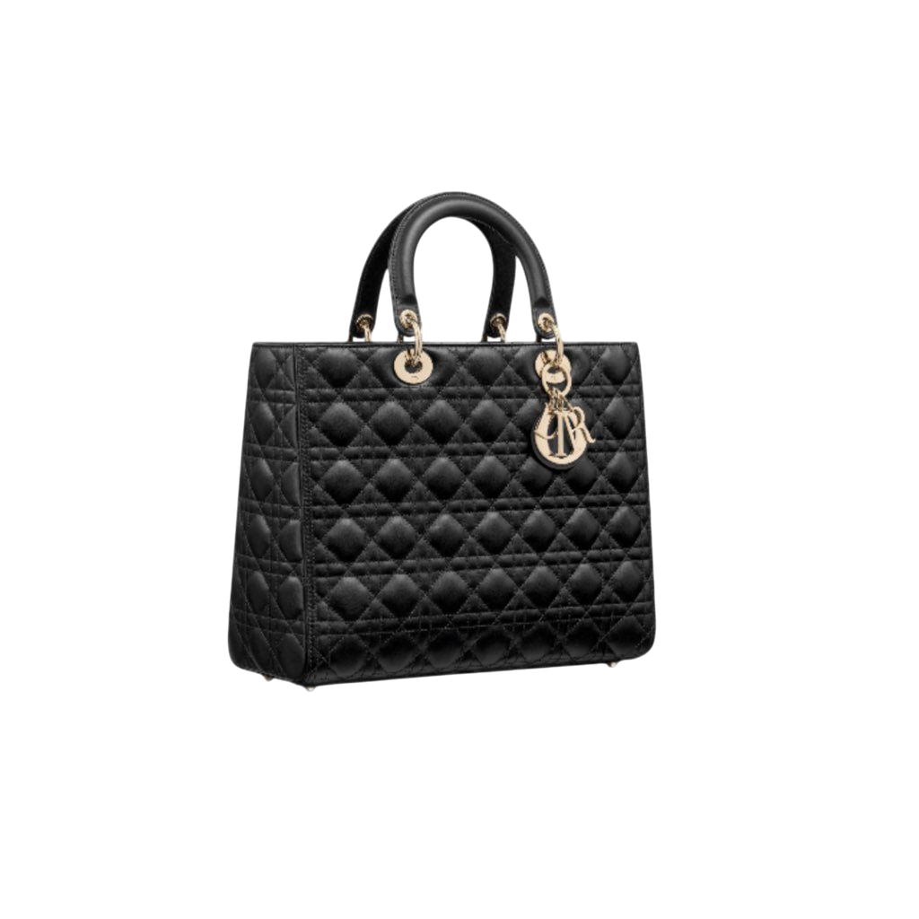 DIOR BAG