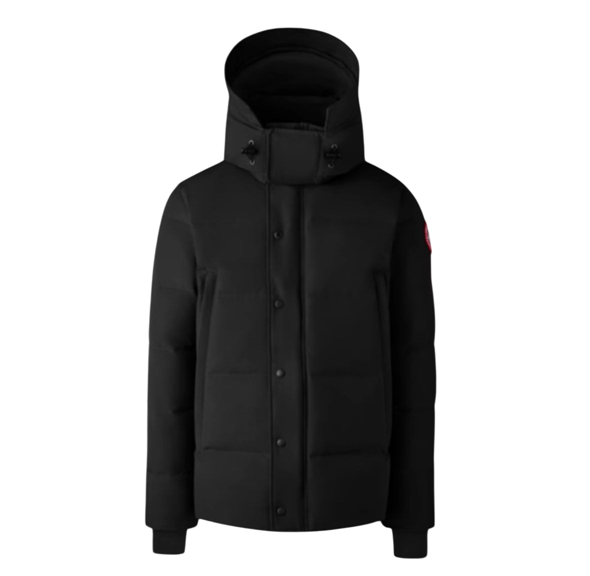 G-Canada Goose
