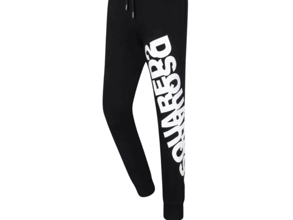 PANTS - DSQ2