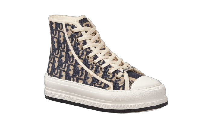 DIOR B23 OBLIQUE EMBROIFERED