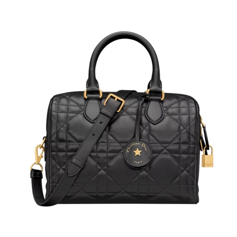 BORSA - DIOR GROOVE 25 IN VITELLO BISCOTTO