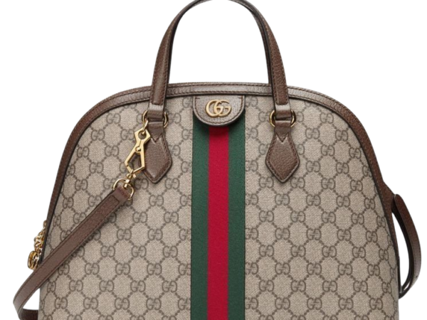 BORSA - GUCCI BEIGE/BRAUN 24.5cm
