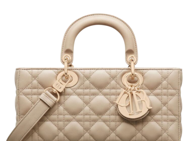 BORSA - DIOR LADY D-JOY 22 cm