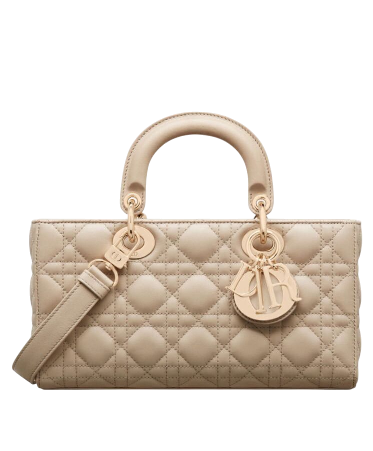 BORSA - DIOR LADY D-JOY 22 cm