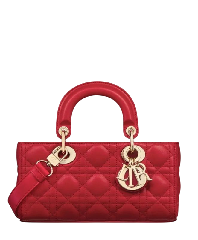 BORSA - DIOR LADY D-JOY PICCOLA ROSSO 22 cm