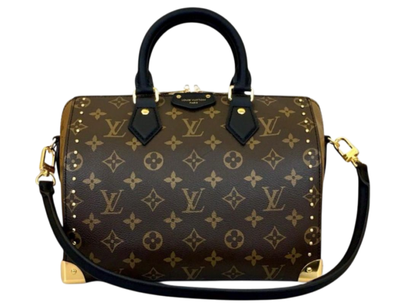 BAULE - LOUIS VUITTON SPEEDY 25
