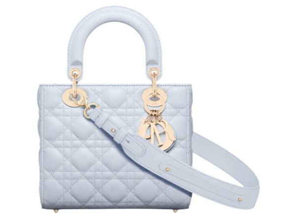 BORSA - DIOR LAMBSKIN CANNETÈ BLU CAMICIA