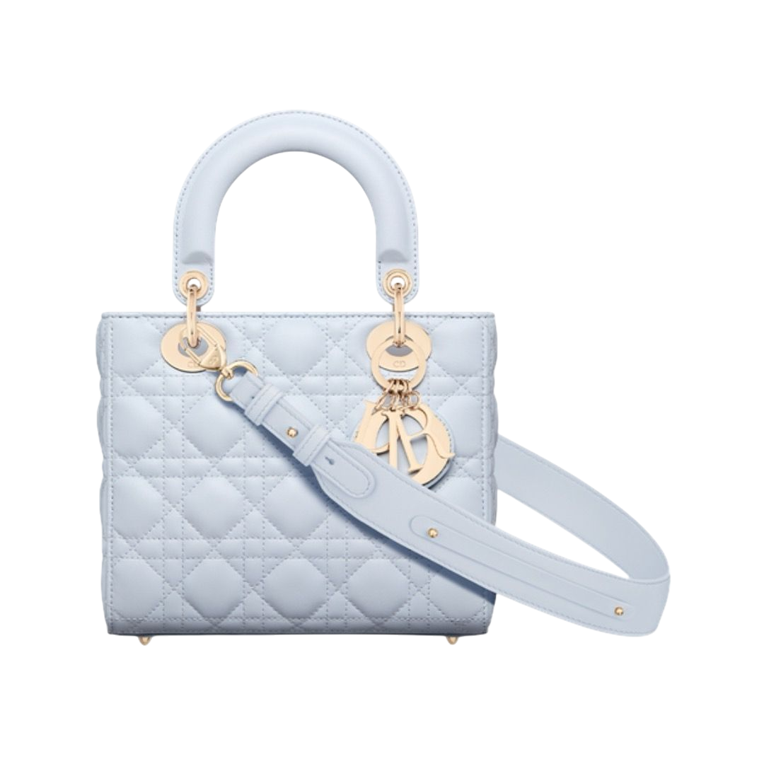 BORSA - DIOR LAMBSKIN CANNETÈ BLU CAMICIA