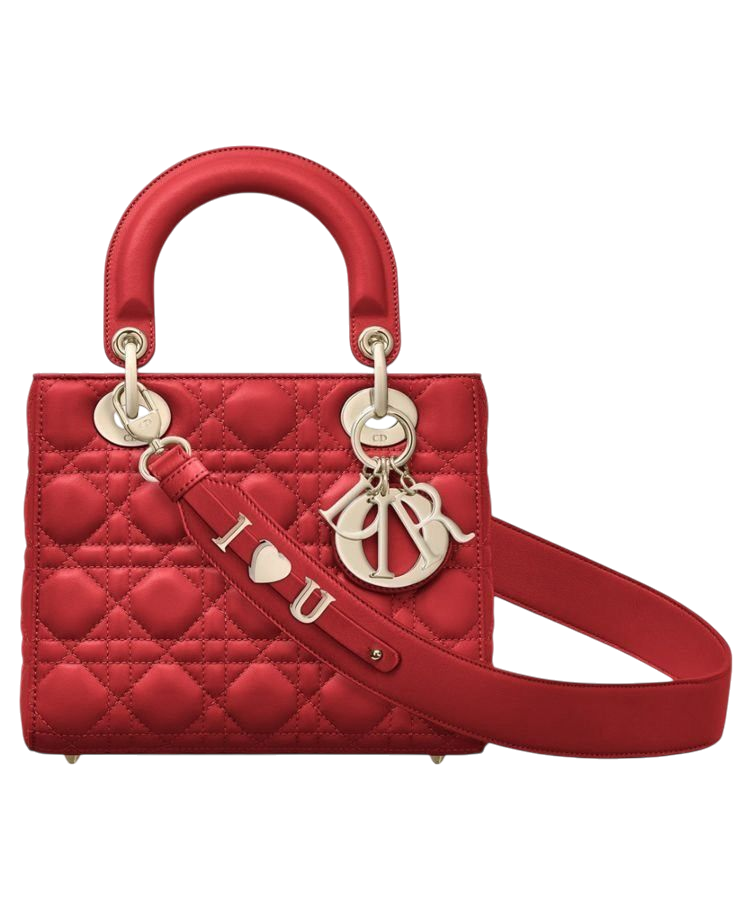 BORSA - DIOR LADY 20 cm