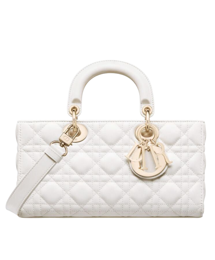 BORSA - DIOR LADY D-JOY 22 cm